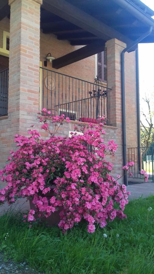 Albergo Da Ca' Vecia Spilamberto エクステリア 写真